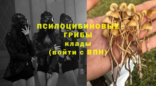 скорость Бронницы