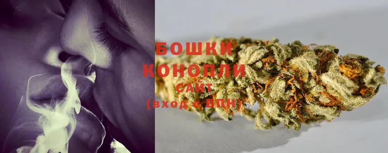 где купить наркоту  mega как зайти  Каннабис OG Kush  Тверь 